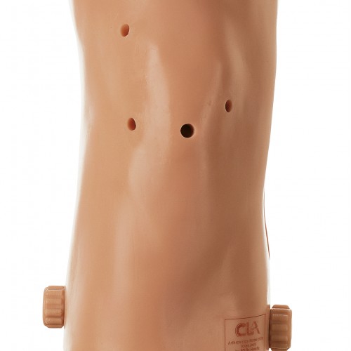 Μοντέλο Ar throscopy της άρθρωσης του γονάτου Μοντέλο Ar throscopy της άρθρωσης του γονάτου