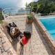 Πλατφόρμα μεταφοράς αμαξιδίων σε σκάλες με ερπύστριες