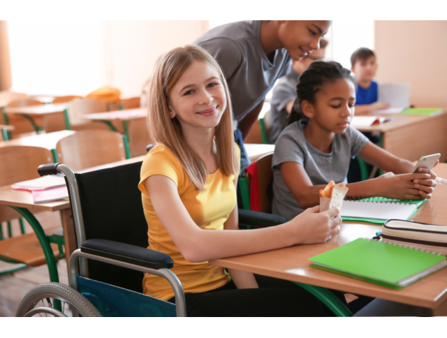 Μαθητές με αναπηρίες και μαθητές με ειδικές εκπαιδευτικές ανάγκες στο σύγχρονο σχολείο