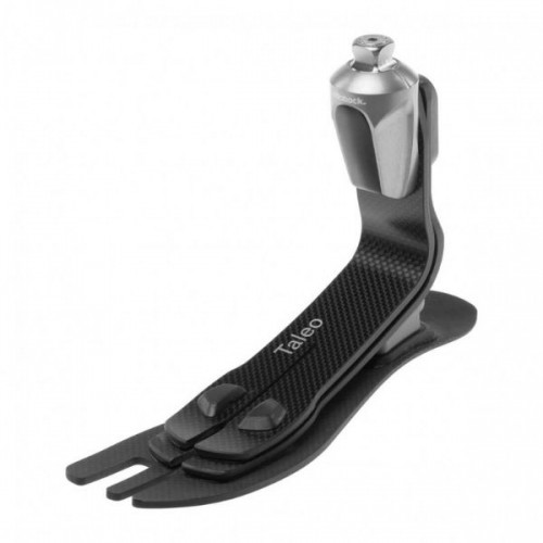 Πέλμα Taleo Πέλμα Taleo