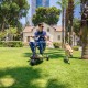 Πτυσσόμενο scooter ATTO Sport Max