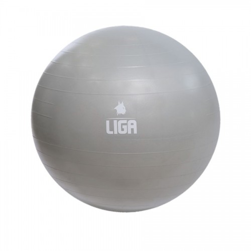 Μπάλα γυμναστικής 55cm (Gym Ball) (γκρι) LIGASPORT* Μπάλα γυμναστικής 55cm (Gym Ball) (γκρι) LIGASPORT*
