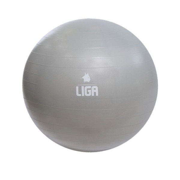 Μπάλα γυμναστικής 55cm (Gym Ball) (γκρι) LIGASPORT*