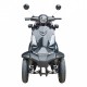 Ηλεκτροκίνητο σκούτερ E-ride Elite 