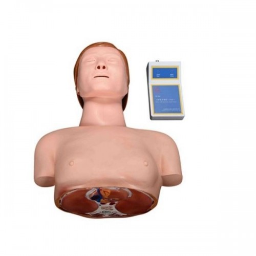 Βασικό ανδρείκελο CPR (Μισό σώμα) Βασικό ανδρείκελο CPR (Μισό σώμα)