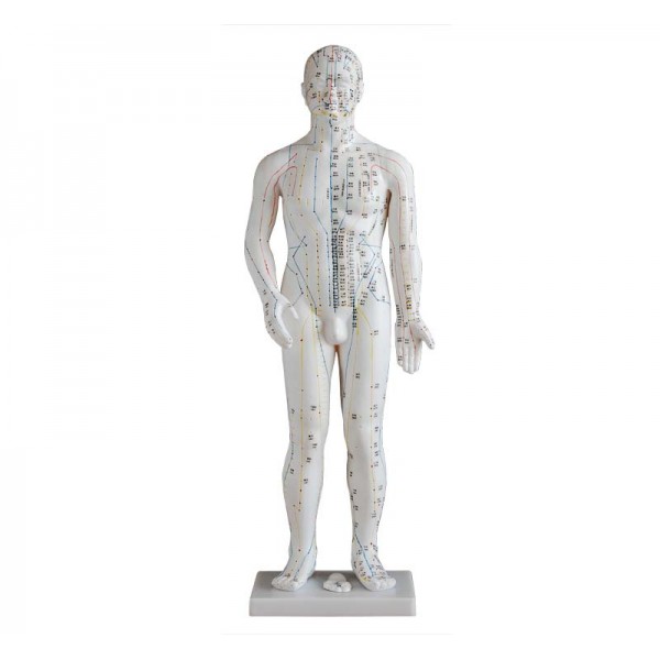 Πρόπλασμα ανθρωπίνου σώματος για Βελονισμό 70 cm