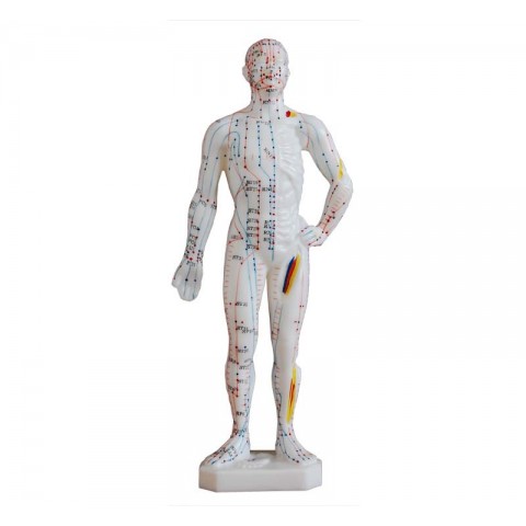 Πρόπλασμα Βελονισμού- ανθρώπινο σώμα 26 cm