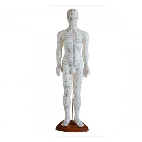 Πρόπλασμα ανθρωπίνου σώματος για Βελονισμό 60 cm