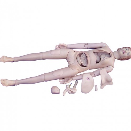 Γυναικείο πρόπλασμα εκπαίδευσης νοσηλευτών Γυναικείο πρόπλασμα εκπαίδευσης νοσηλευτών