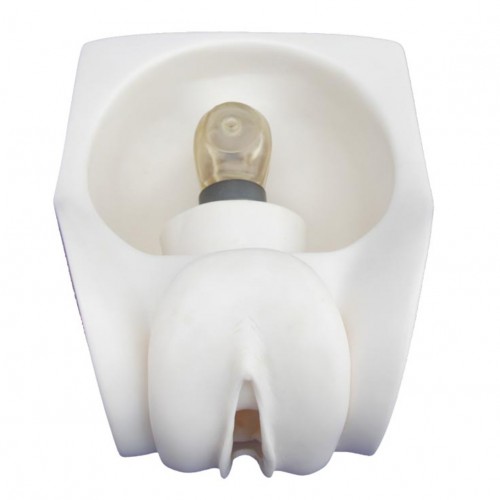 Πρόπλασμα για πρακτική εξάσκηση στη γυναικεία αντισύλληψη