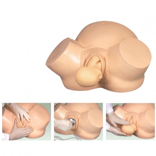 Εκπαιδευτικό πρόπλασμα μαιευτικής