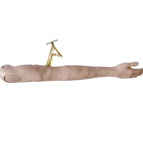 Πολυλειτουργικό χέρι εκπαίδευσης IV (ενδοφλέβια θεραπεία)