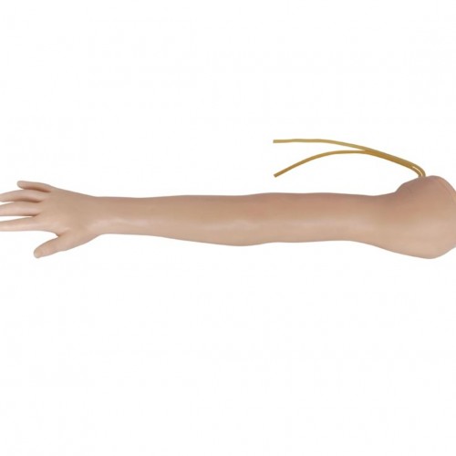 Πρόπλασμα Παιδικού χεριού για εκπαίδευση IV (ενδοφλέβιας έγχυσης)