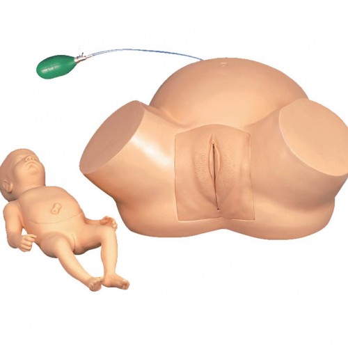 Πρόπλασμα Προσομοιωτής Εκπαίδευσης Δυστοκίας