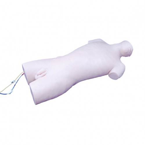 Πρόπλασμα εκπαίδευσης στη φλεβικής παρακέντηση Πρόπλασμα εκπαίδευσης στη φλεβικής παρακέντηση