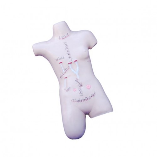 Πρόπλασμα Χειρουργικό για επίδειξη συρραφής Πρόπλασμα Χειρουργικό για επίδειξη συρραφής