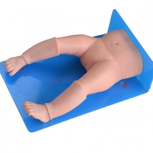 Βρεφικό μοντέλο εκπαίδευσης αναρρόφησης μυελού των οστών Βρεφικό μοντέλο εκπαίδευσης αναρρόφησης μυελού των οστών