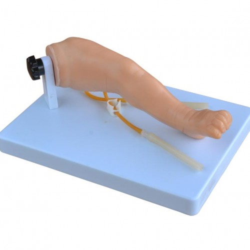 Πρόπλασμα Ποδιού φλεβοκέντησης νηπίων