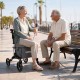 Κυλιόμενος περιπατητήρας / Rollator για ψώνια με χώρο αποθήκευσης