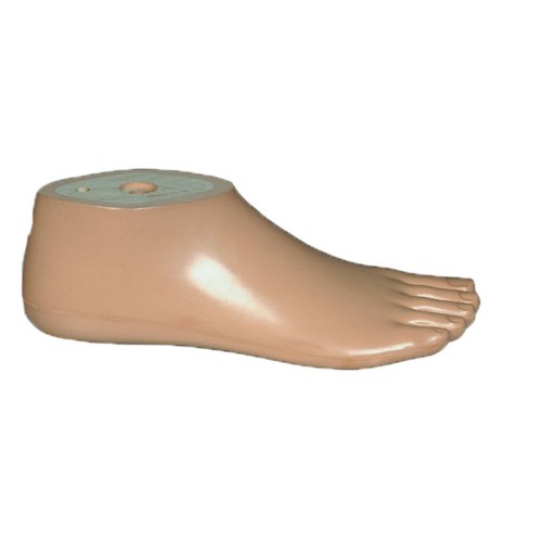 Προθετικό Πέλμα Σταθερό (S.A.C.H. Foot) Προθετικό Πέλμα Σταθερό (S.A.C.H. Foot)