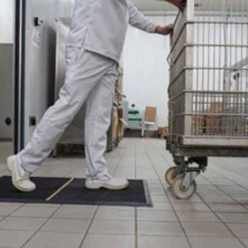 Απολυμαντικά ταπέτα  Des-Mat Pro