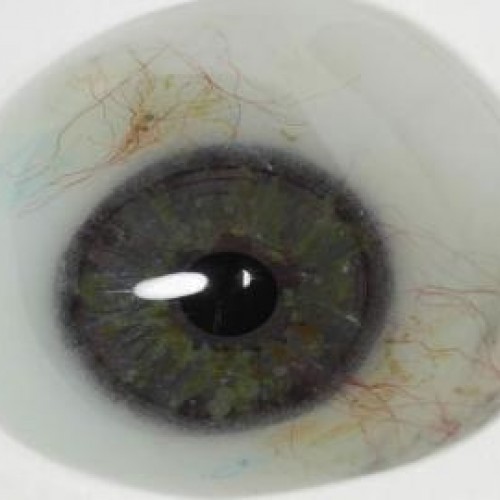 Τεχνητός Οφθαλμός Τεχνητός Οφθαλμός