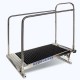 Διάδρομος πισίνας ''Hydrorider Aqua Treadmill Professional''