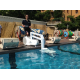 Γερανός πισίνας μεταφερόμενος I-Swim ΙΙ με περιστροφικό βραχίονα και χειριστήριο για αυτοεξυπηρέτηση