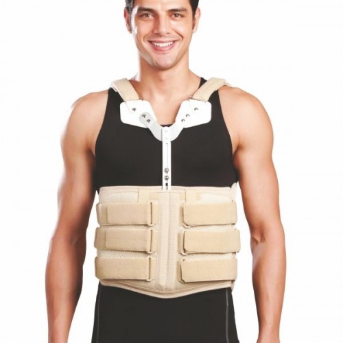 Νάρθηκας κορμού με αεροθάλαμο