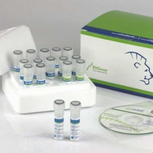 Πλήρες κιτ τεχνολογίας Real-time PCR για την ανίχνευση του ιού SARS-CoV-2 σε κλινικά δείγματα (100 test) Πλήρες κιτ τεχνολογίας Real-time PCR για την ανίχνευση του ιού SARS-CoV-2 σε κλινικά δείγματα (100 test)