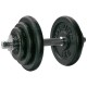 Tunturi Σετ αλτήρας 20kg με βάρη 30mm