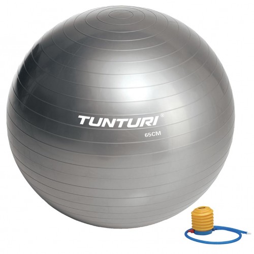 Tunturi Μπάλα Γυμναστικής 65cm Ασημί Tunturi Μπάλα Γυμναστικής 65cm Ασημί