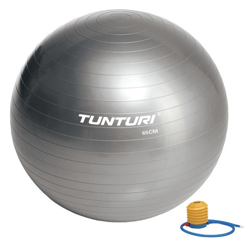 Tunturi Μπάλα Γυμναστικής 65cm Ασημί Tunturi Μπάλα Γυμναστικής 65cm Ασημί