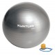 Tunturi Μπάλα Γυμναστικής 65cm Ασημί