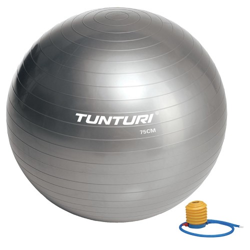 Tunturi Μπάλα Γυμναστικής 75cm Ασημί Tunturi Μπάλα Γυμναστικής 75cm Ασημί