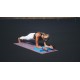 Tunturi PVC Στρώμα Yoga 4mm 182x61cm Μοβ