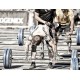 Ταινία κινησιολογίας RockTape Bulk Black INTLMED