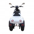 Ηλεκτρικό Scooter E-RIDE CARRIER DELIVERY 100 με αυτονομία 210 km